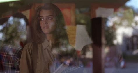 Brooke Shields Endless Love Hair