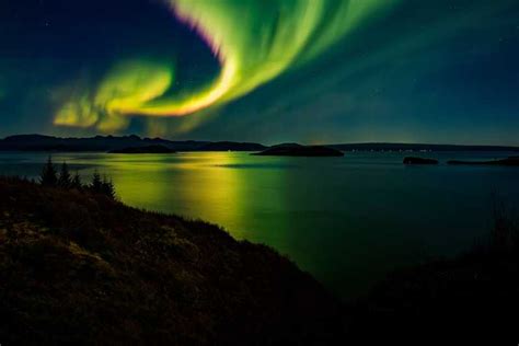 From Reykjavik: Northern Lights Tour | GetYourGuide