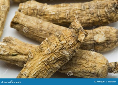 Dry Ginseng Roots Stock Image - Image: 34478261