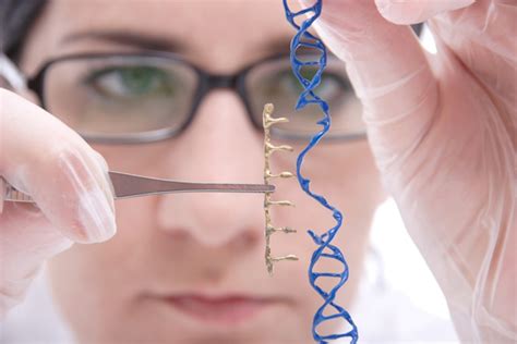 Educational Qualification for Genetic Engineering Careers - Eligibility for studying Genetic ...