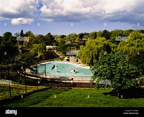 Dublin Zoo, Phoenix Park, Dublin, Ireland Stock Photo - Alamy