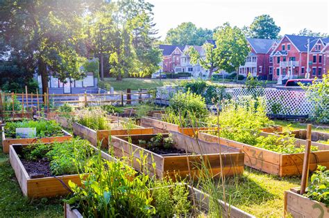 Trinfo.Café Community Garden - Center for Hartford Engagement and Research