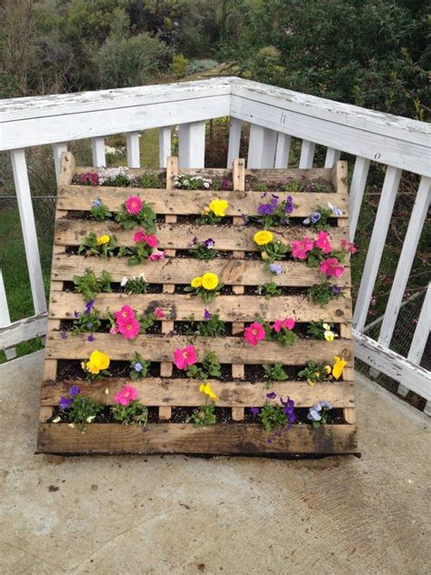 palette flower bed, picture it full of hanging petunias | Patiodesign, Cafe