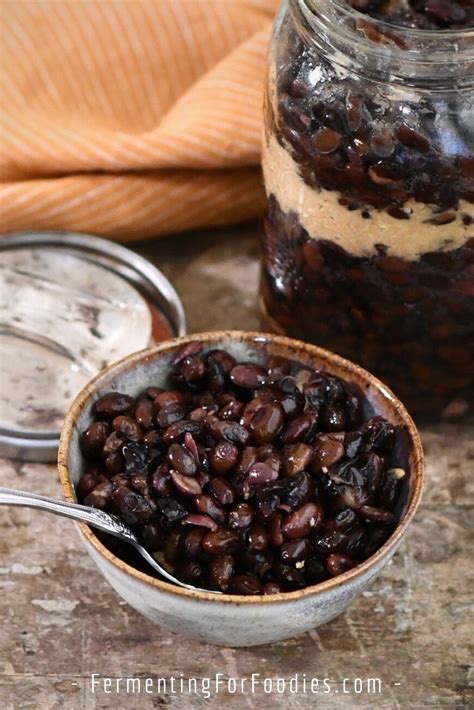 Fermented Black Beans Recipe | Dandk Organizer