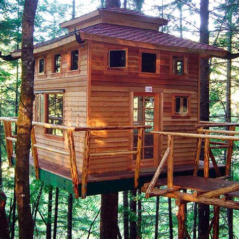 Diy How To Build A Simple Tree House