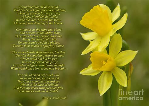 Daffodils Poem By William Wordsworth Photograph by Olga Hamilton