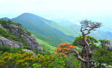 Gayasan National Park