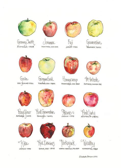 Content in a Cottage: Apple Varieties and Their History