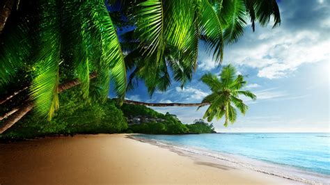 🔥 Download Tropical HD Wallpaper And Background by @waynejordan | 4k HD Beach Wallpapers, Hd ...