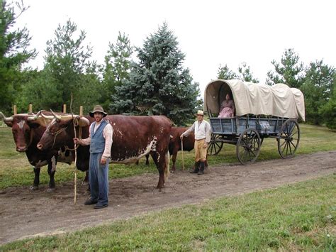 oxen-and-wagon | Living History Farms