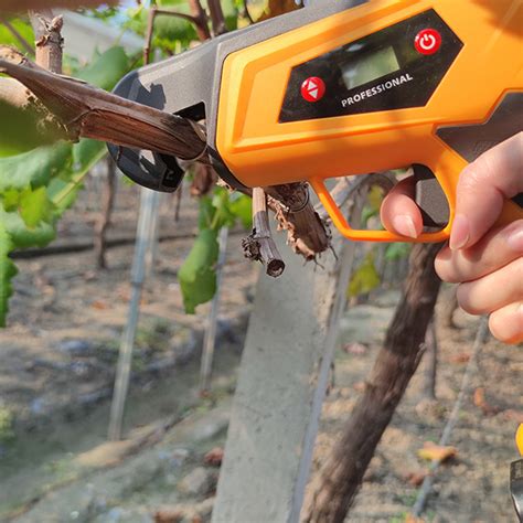 Battery operated pruning shears Manufacturer & Supplier in China - SWANSOFT