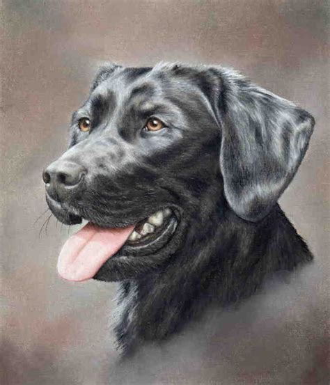 Black Labrador | Animal drawings, Dog paintings, Animal paintings