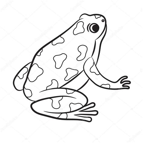 Cartoon of Poison-Dart Frog. Coloring page. Vector — Stock Vector © ARNICA83 #80028576