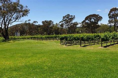 Ultimate Guide To Stanthorpe Wineries | Armchair Sommelier