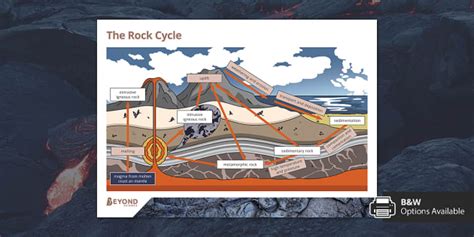 The Rock Cycle Poster (Teacher-Made) - Twinkl