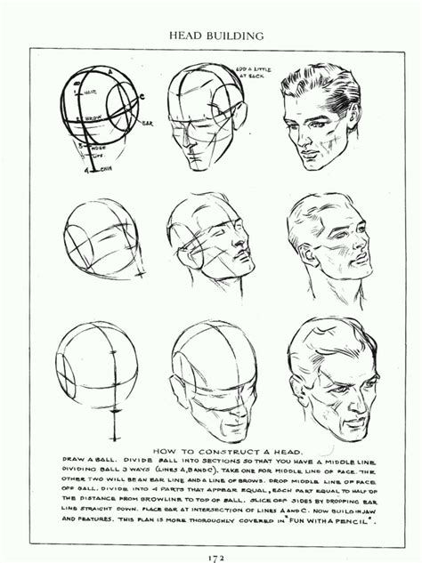 Andrew Loomis Anatomy Drawing - Drawing.rjuuc.edu.np