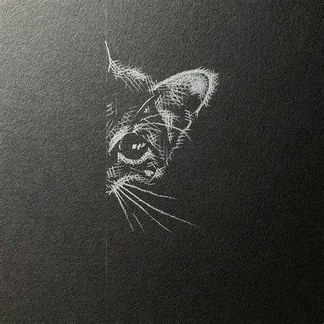 White Pencil on Black Paper: A Stunning Cat Drawing