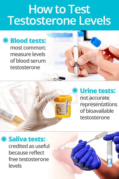 Testosterone Tests | SheCares