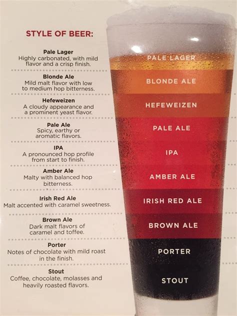 Beer Styles : r/coolguides