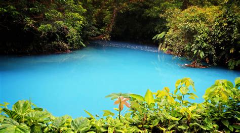 Tenorio Volcano National Park: Haven for Wildlife & Volcanic Wonders ...