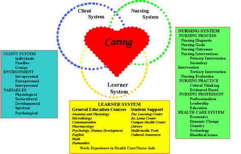 Nursing Theories: Betty Neuman's Systems Model