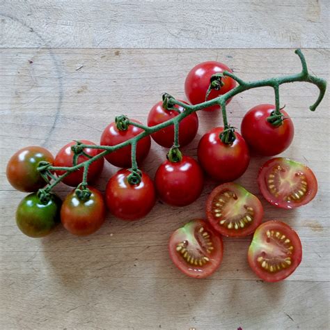 Organic Tomato Seeds: Non-GMO, Certified Organic Heirloom Varieties - The Plant Good Seed Company