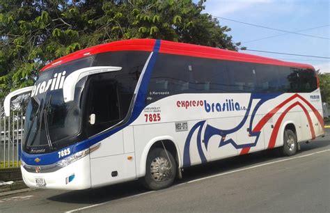 Express Brasilia Bus Colombia – Collections Photos Bus