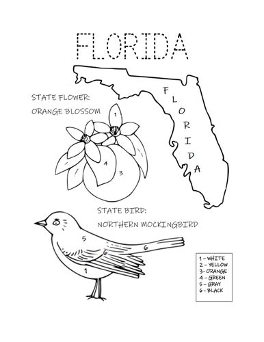 FLORIDA STATE BIRD AND FLOWER COLORING PAGE | Teaching Resources