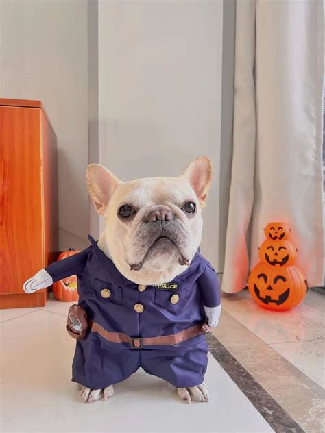 Dog Police Costume with Necktie – Frenchiely Best Dog Halloween ...