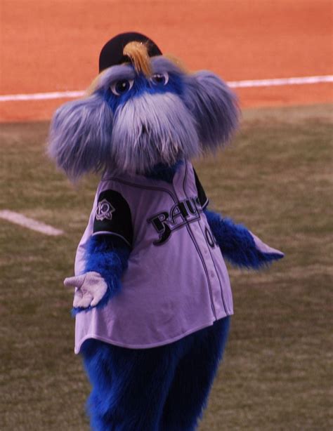 Raymond (Tampa Bay Rays) | SportsMascots Wikia | Fandom