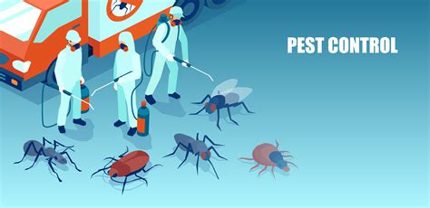 South Florida Pest Control Services | Boynton Beach