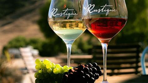 Central Coast Wineries Guide: A Must-Read for Wine Lovers LaJolla.com