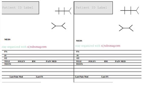 Nurse Brain Sheets - MedSurg Notecards | Scrubs - The Leading Lifestyle Nursing Magazine ...