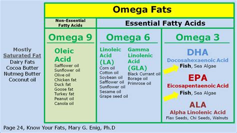 Fruit Of The Belly: The Importance of Essential Fatty Acids, Omega 3 and Omega 6, DHA, EPA and ALA