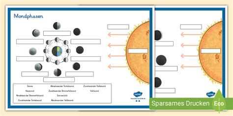 Mondphasen (differenziert) - Arbeitsblätter (teacher made)