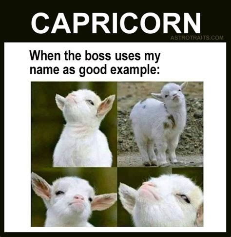 35+ CAPRICORN Personality Traits - Funny MEMES Edition ♑︎😂