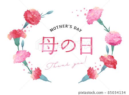 Mother's day carnation vector illustration... - Stock Illustration [85034134] - PIXTA