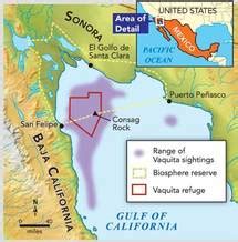 Where does the vaquita live? - Vaquita