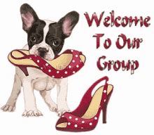 Welcome To Our Group GIF - Welcome To Our Group - Discover & Share GIFs