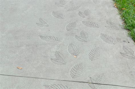 Premium Photo | A stencil of leaves imprinted on the concrete pavement ...