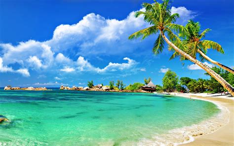 Goa Beach Wallpapers - Top Free Goa Beach Backgrounds - WallpaperAccess