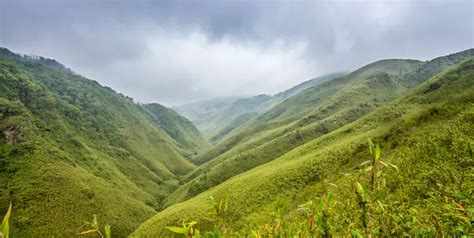 Dzukou Valley: The Ultimate Travel (Trekking) Guide - Magical Assam