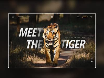 Save The Tiger designs, themes, templates and downloadable graphic ...