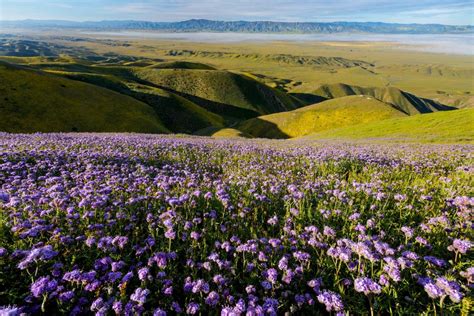 Trump Risks California’s Carrizo Plain National Monument in Search of Worthless Oil - NRDC ...