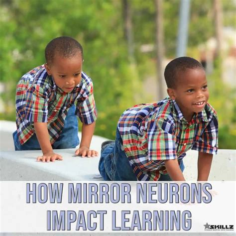 How Mirror Neurons Impact Learning | SKILLZ World Wide