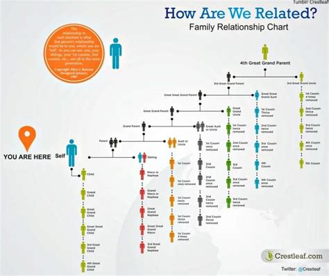 Family Relationships | Family relationship chart, Family chart, How to ...