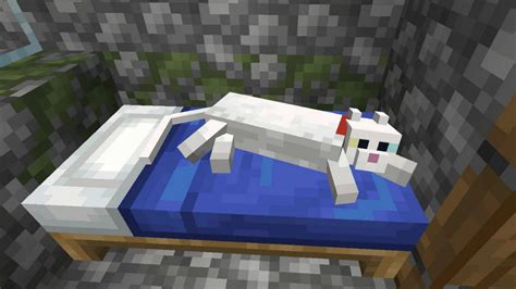 How to tame a cat in Minecraft 1.18