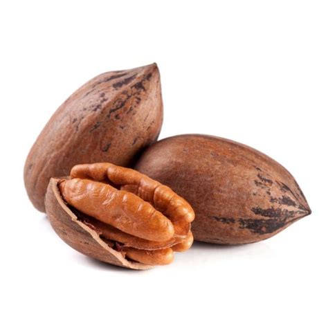 Buy Pecan Nut in Shell, 1 KG Online At 30% Discount | PureMart