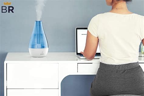 5 Best Home Humidifiers - Dec. 2024 - BestReviews