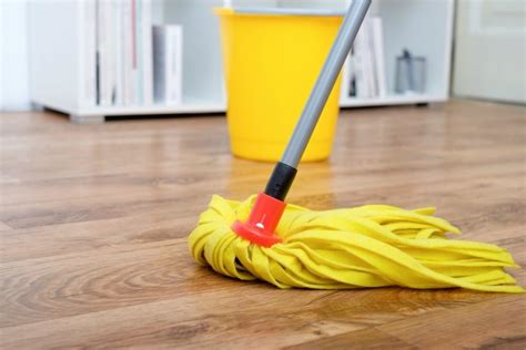 How to maintain a mop? – Things you should know